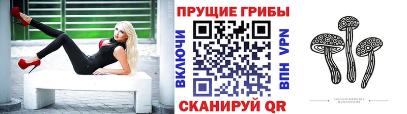 Псилоцибиновые грибы MAGIC MUSHROOMS  наркота  KRAKEN как войти  Ливны 